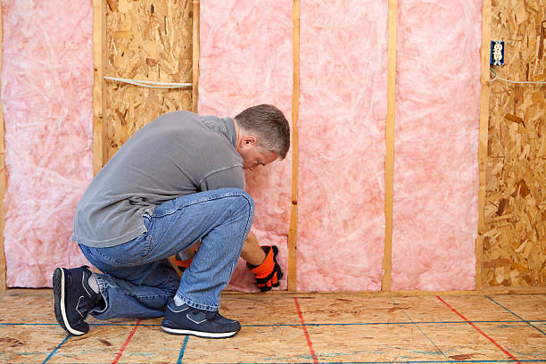 Best Residential Insulation Services  in Winthrop Harbor, IL